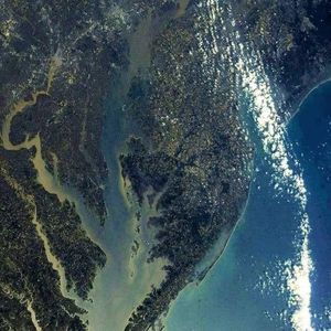 Meet your Posher, Zachary